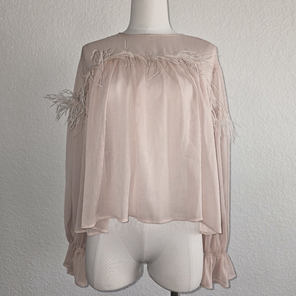Dusty Rose Babydoll Blouse by Zara with Feather Detail Size M
